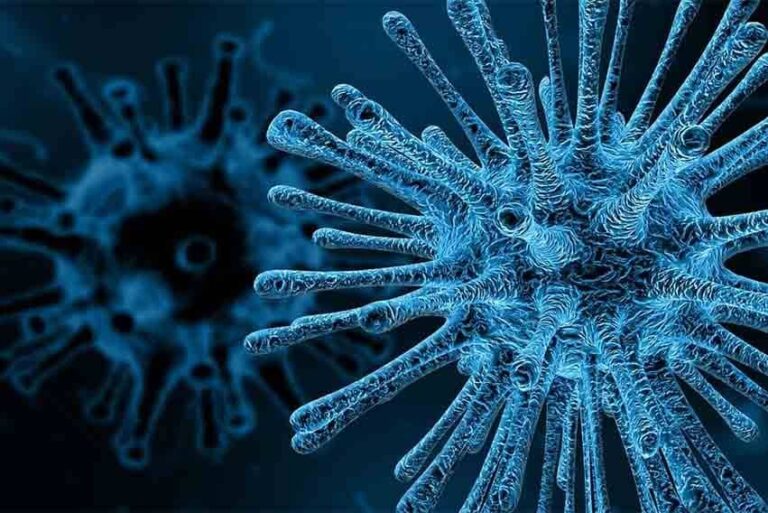 Protocolo de prevención ante el coronavirus